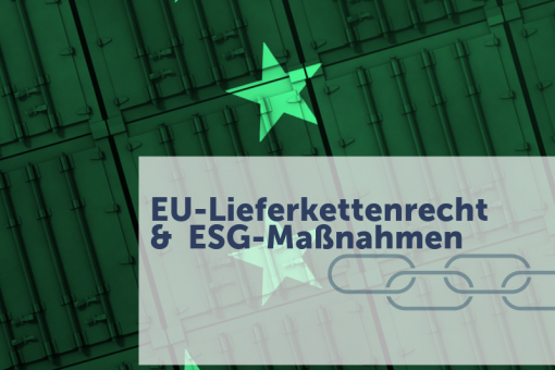 Experten Interview zum Thema: EU-Lieferkettenrecht & ESG-Maßnahmen